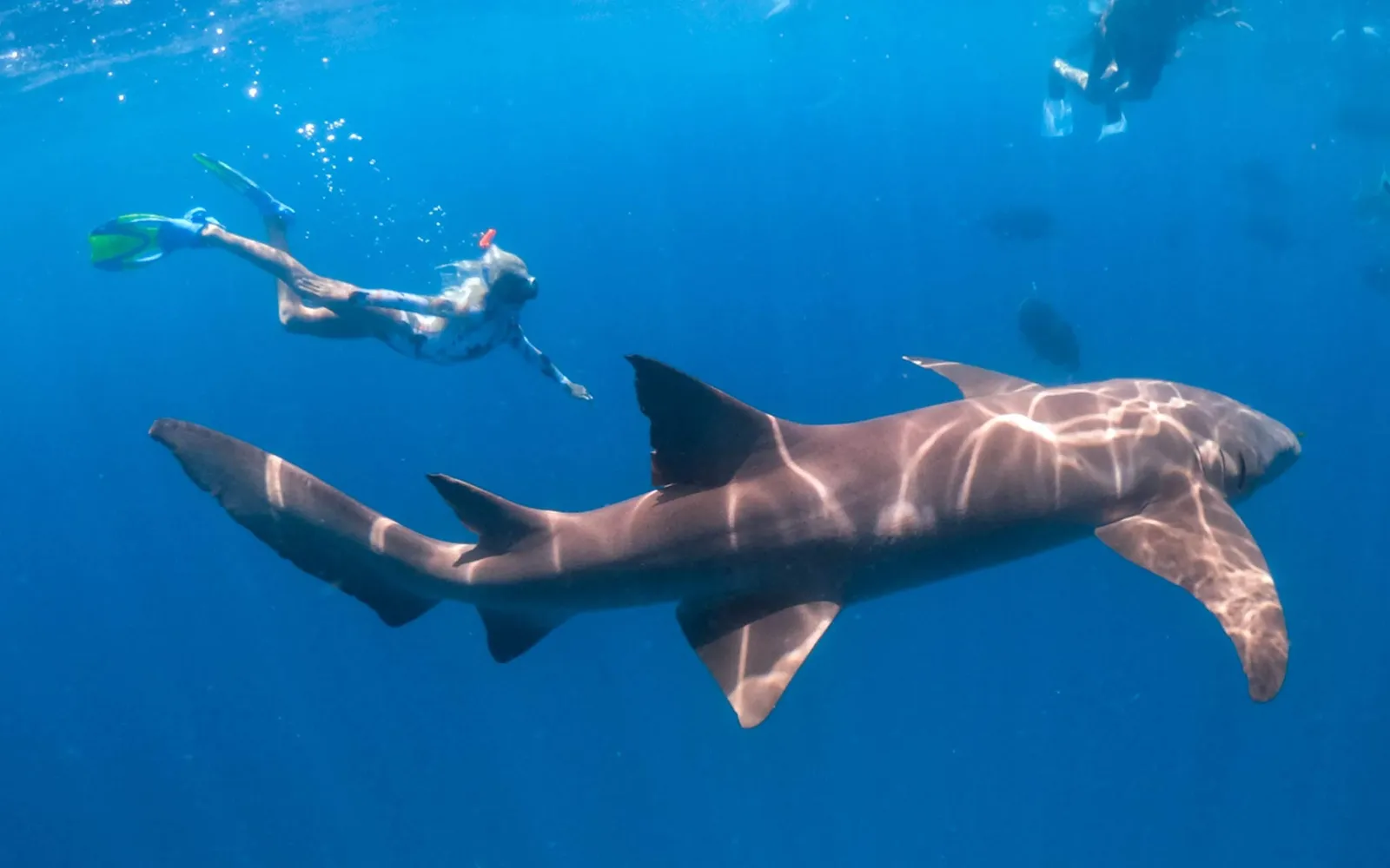 칸두마 몰디브 사진 26